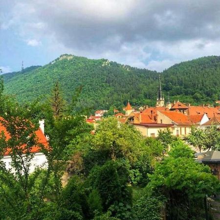 Ferienwohnung Casa Alise-Luise Brașov Exterior foto